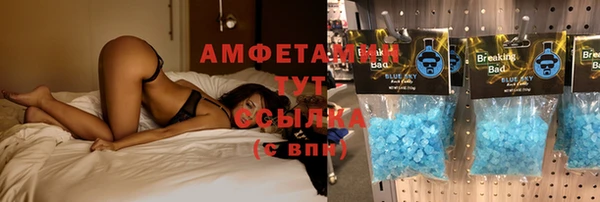 мдпв Алапаевск